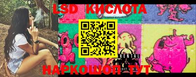 прущие крисы Нальчик
