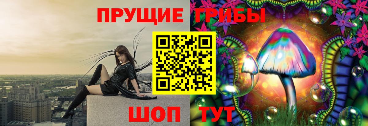 Галлюциногенные грибы Psilocybe  Вход с VPN  Верхняя Салда  где купить наркоту  Псилоцибиновые грибы MAGIC MUSHROOMS 